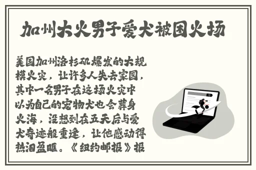 免费网站正能量WWW软件游戏