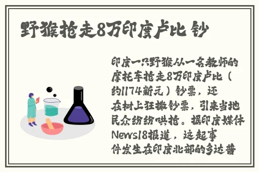 99爱国产精品免费高清在线观看