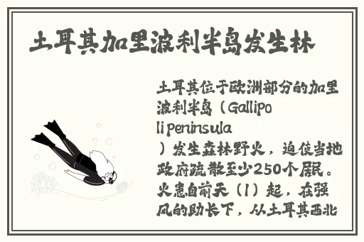 7x7x7x7x任意槽蘑菇